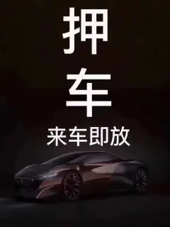 朔州押车贷款哪家额度高